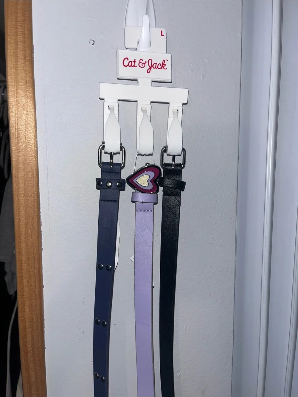 Little  Girls Size Large Belt Bundle
